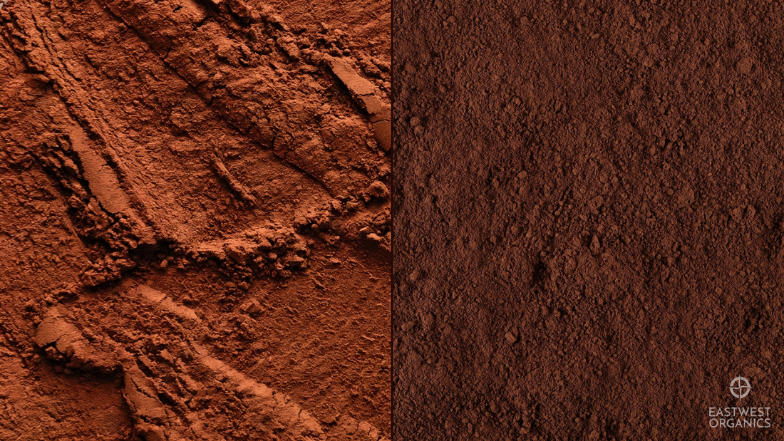 Cacao vs. Cocoa: Understanding the Difference