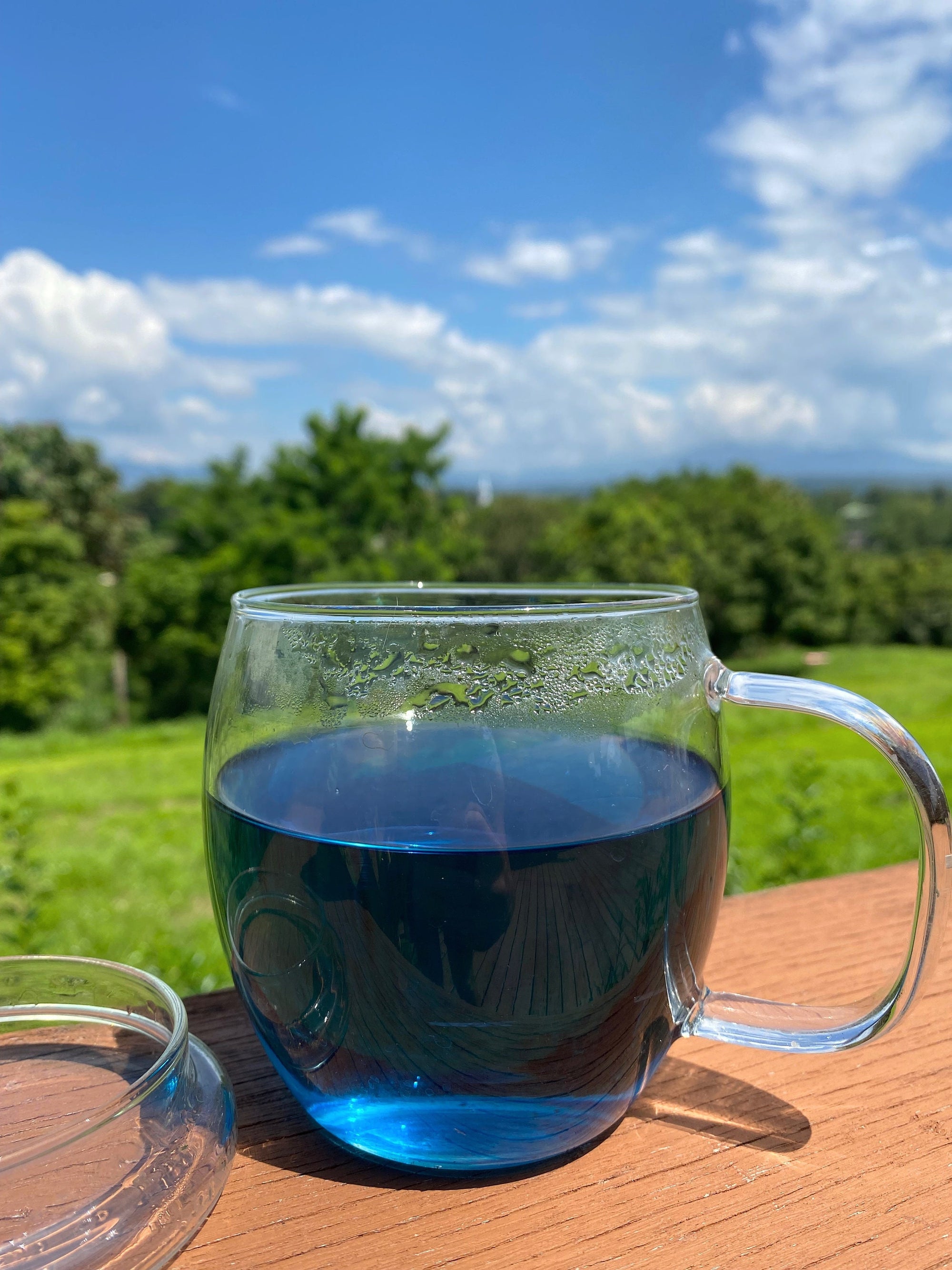 Butterfly Pea Dried 20g-500g | Freshly Harvested Flowers of Clitoria ternatea