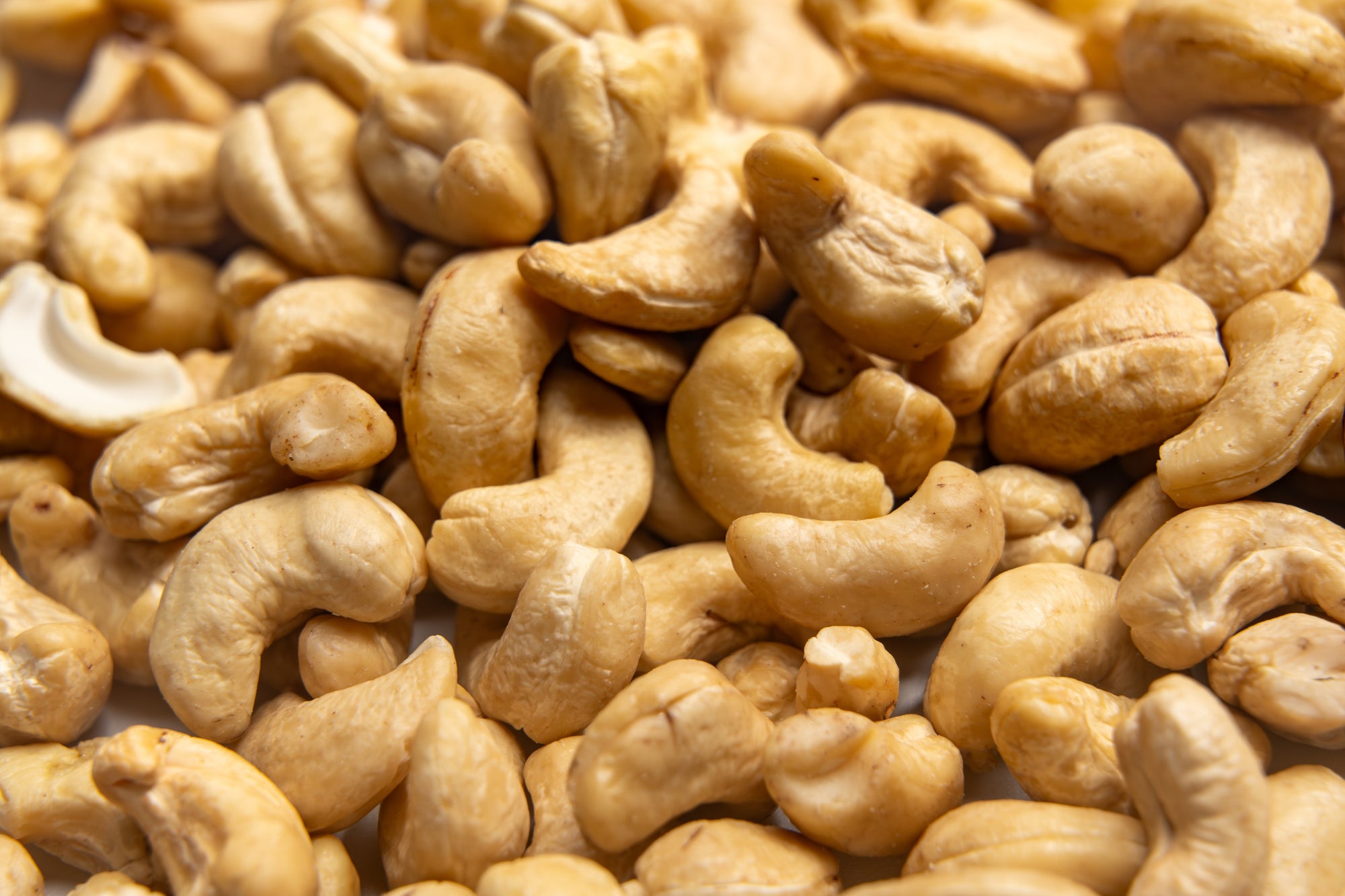 Cashew Nuts Dried 30g-1kg | Dried Nuts from Anacardium occidentale