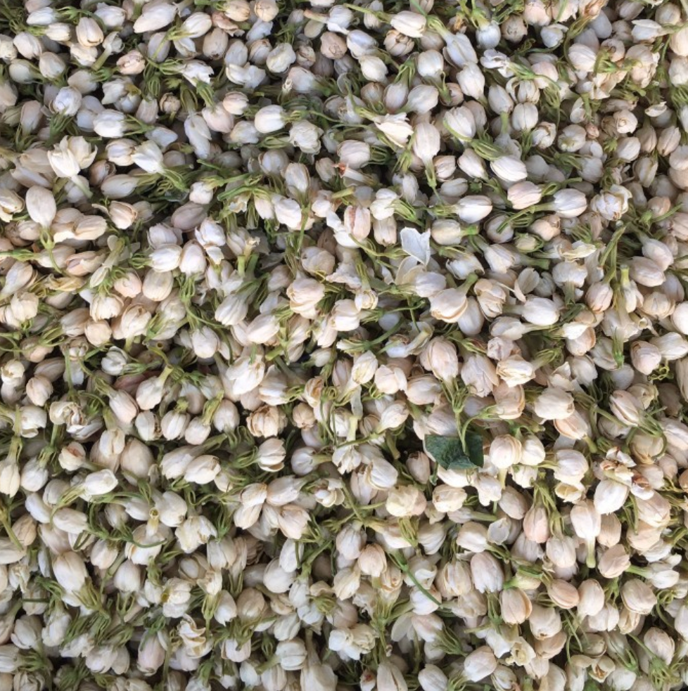 Jasmine Flowers Dried 20g-500g | Freshly Harvested Flowers of Jasminum sambac for Tea & Flavoring