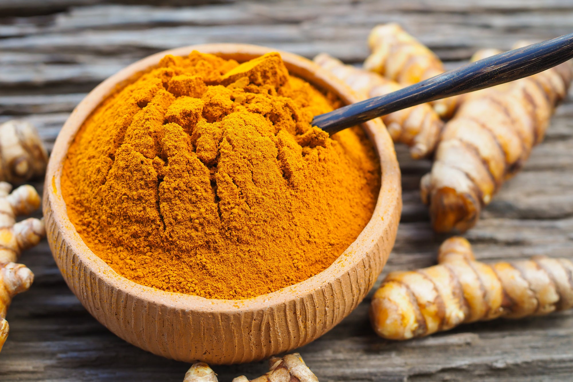 Turmeric Powder 20g-500g | Dried & Powdered Rhizomes from Curcuma longa