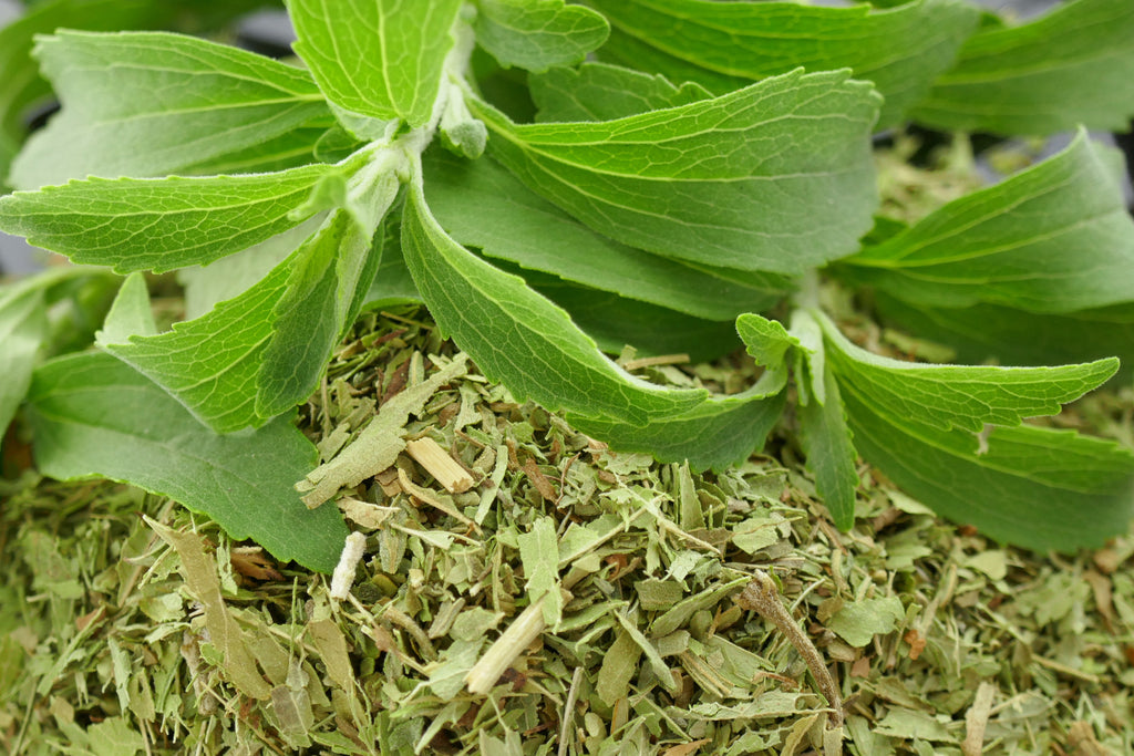 Stevia Leaves Dried 20g-500g | Freshly Harvested Leaves from Stevia rebaudiana