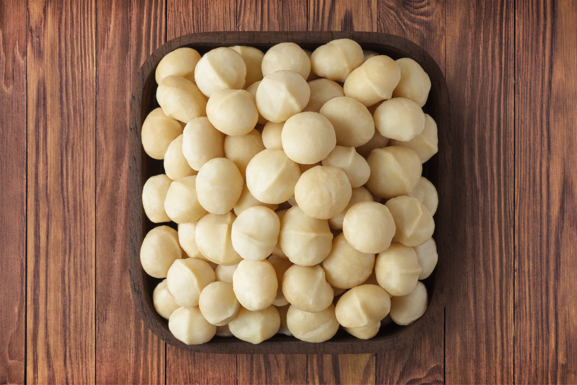 Macadamia Nuts Dried 30g-1kg | Dried & Roasted Nuts from Macadamia sp.
