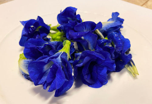 Butterfly Pea Dried 20g-500g | Freshly Harvested Flowers of Clitoria ternatea