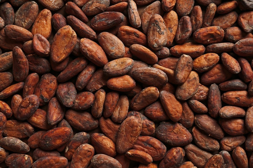 Cacao Powder 30g-1kg | Organic Thai Cacao | Theobroma cacao