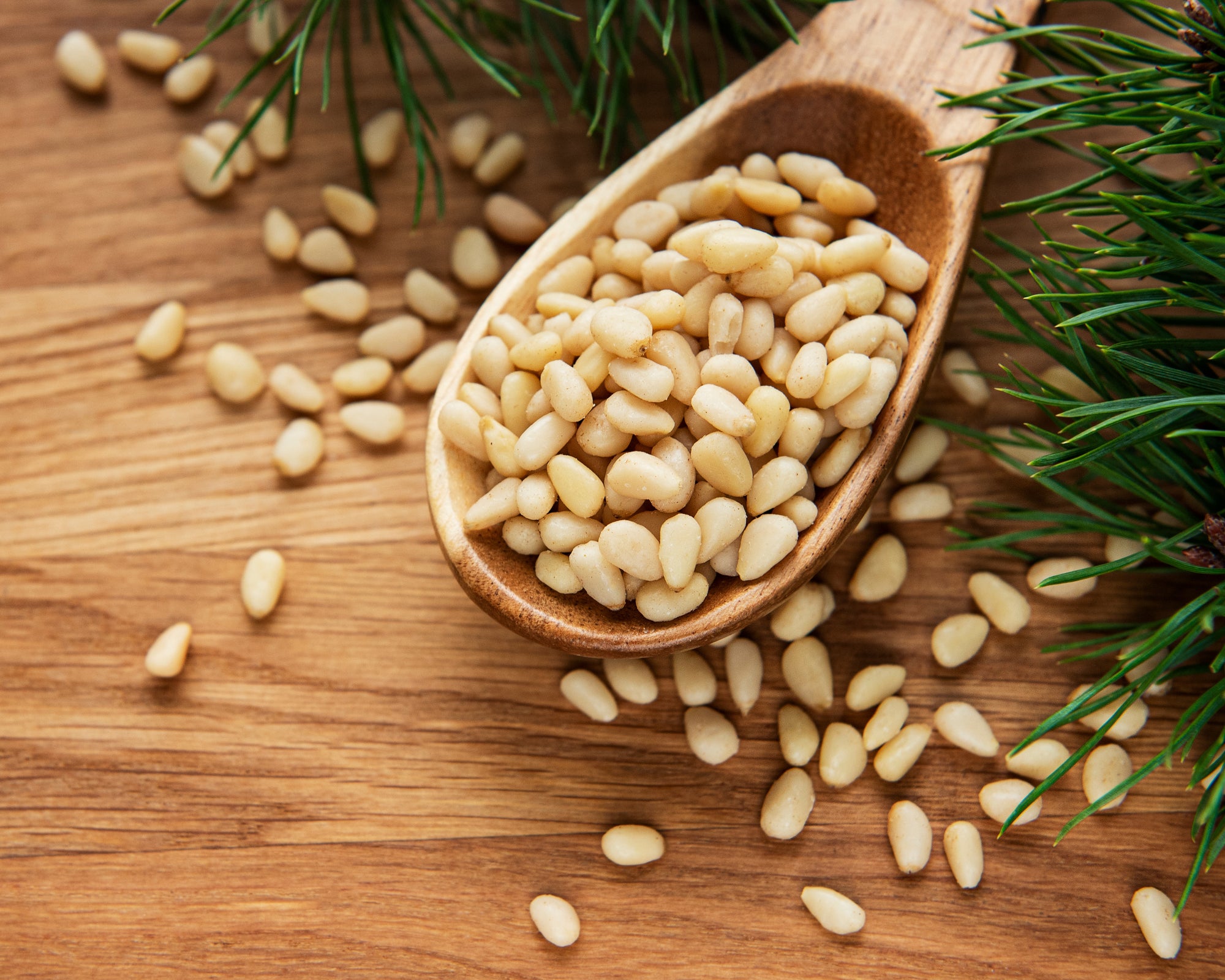 Pine Nuts Dried 30g-1kg | Dried Nuts from Pinus sp.